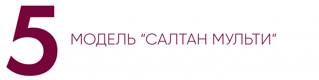 Салтан Мульти 55.jpg